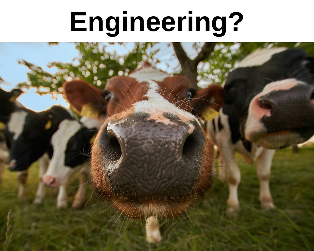 A happy cow — me, every time I get to do engineering